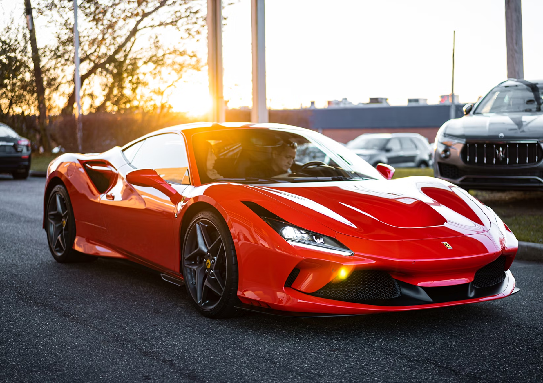 Exotic Car Rentals