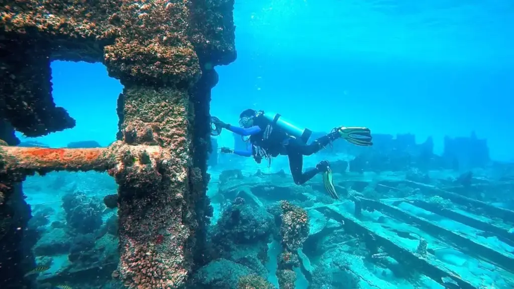 diving in Cancun