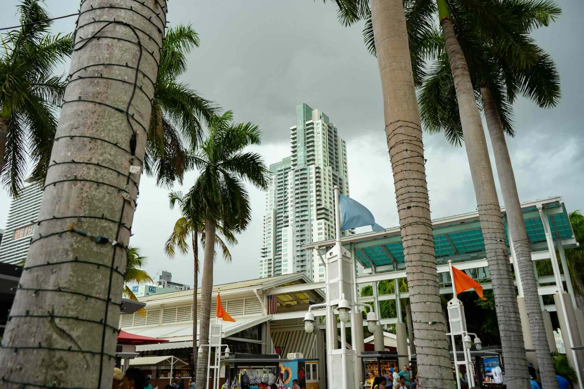 Host a Business Retreat in a Fontainebleau Penthouse