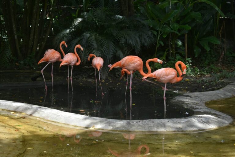 Top Kid Friendly Attractions Near Your Miami Vacation Rental